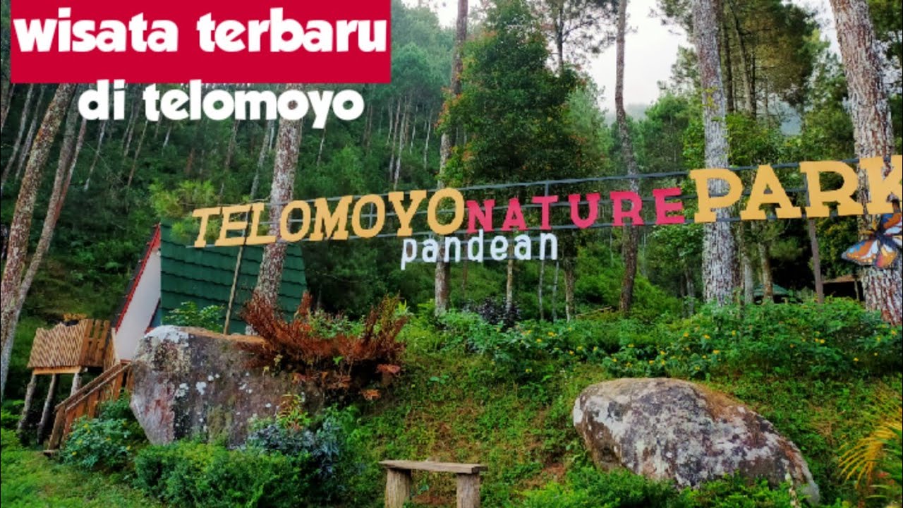 Telomoyo Nature Park: Pesona Alam Menakjubkan di Lereng Gunung Merapi